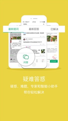 花帮主