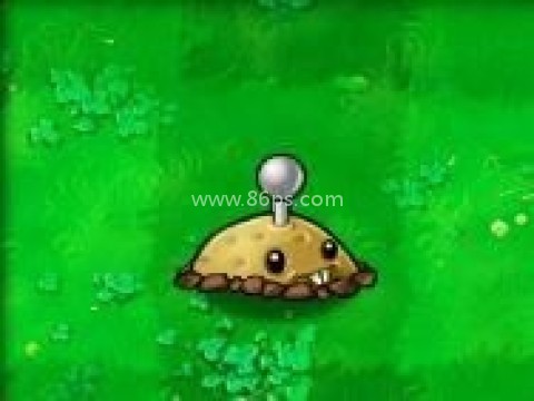植物大战僵尸超爽版 第10张图