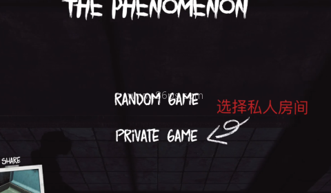 The Phenomenon