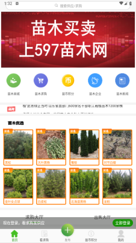 苗木网 第1张图