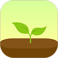 forest官方版