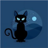 夜猫子辅助器框架
