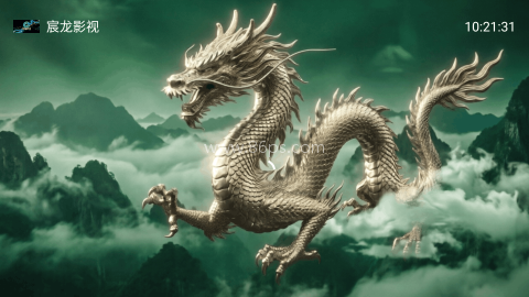 宸龙影视