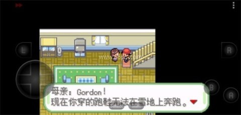 口袋妖怪织女星汉化版