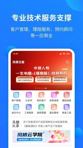 凤栖云服