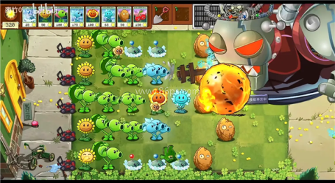 植物大战僵尸转基因版2.0
