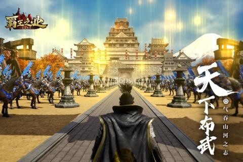 霸王之业战国野望