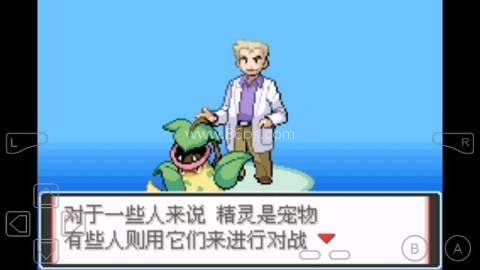 口袋妖怪激进红 口袋妖怪激进红