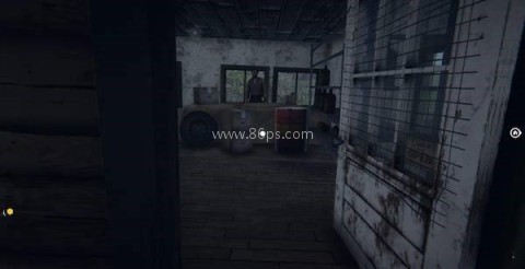 边境检察官中文版 第5张图