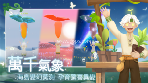 小岛有晴天