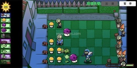 植物大战僵尸可爱版