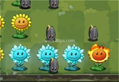 植物大战僵尸转基因版2.0最新版本