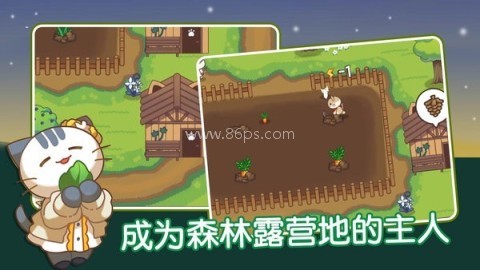猫咪森林 猫咪森林