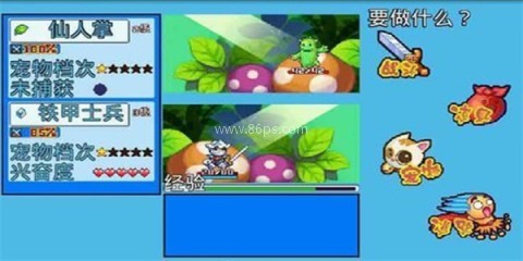 宠物王国5彩虹内购