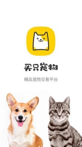 买只宠物 买只宠物