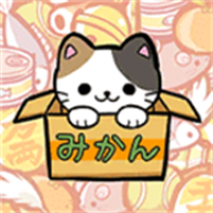 公园里的野猫