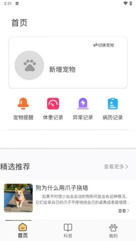 宠物记时