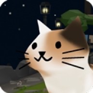 猫猫与鲨鱼