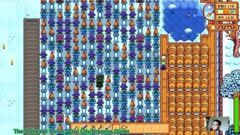 星露谷物语数数魔改版 第2张图