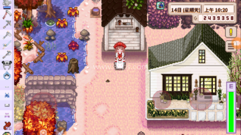星露谷物语浅曦美化版