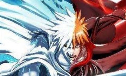 死神vs火影900人物版 第4张图