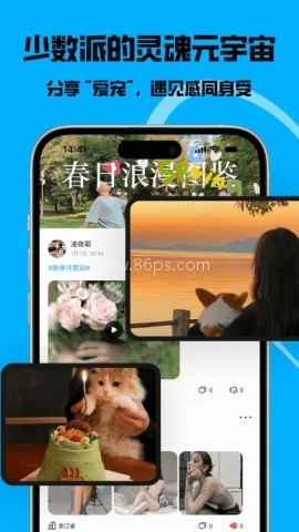 猫匿官网版 猫匿 第1张图