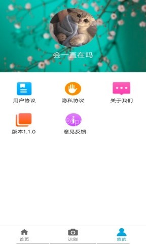 植物品鉴