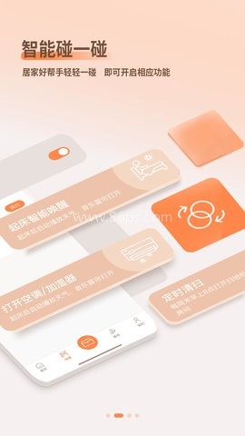 智小金