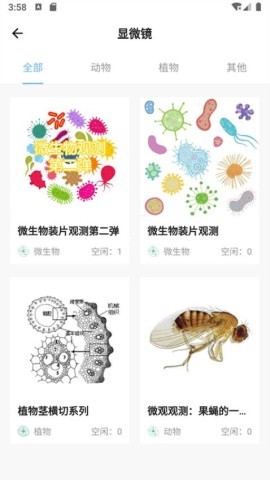 宝堆