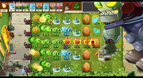 植物大战僵尸转基因版2.0