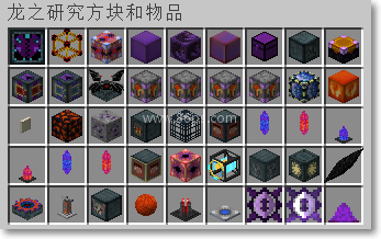 我的世界龙之研究