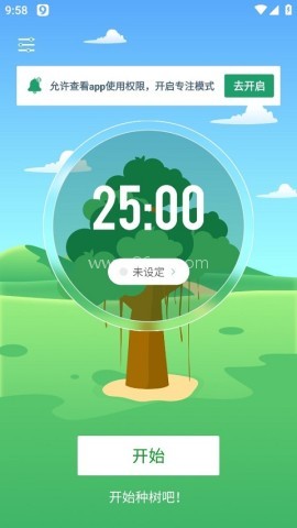 专注种树 第1张图