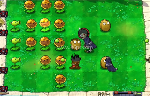 pvz火影忍者版