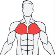 MuscleWiki