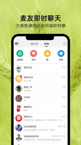 麦地网 麦地网