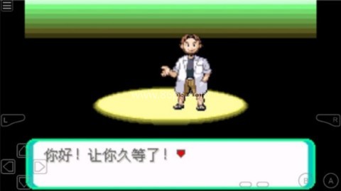 口袋妖怪光之魄 第2张图