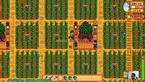 星露谷物语数数魔改版