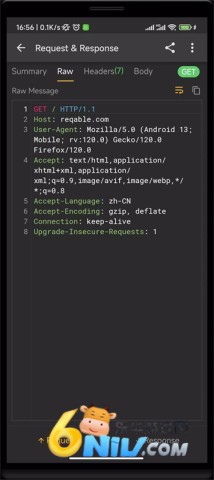 HttpCanary高级版 HttpCanary高级版