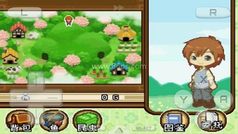 牧场物语 双子村