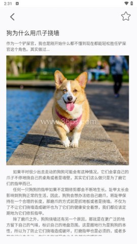 宠物记时