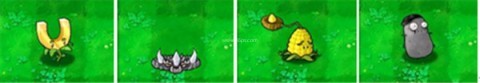 pvz年度版 第8张图
