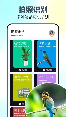 识万物扫一扫