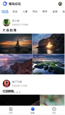 蜂鸟摄影