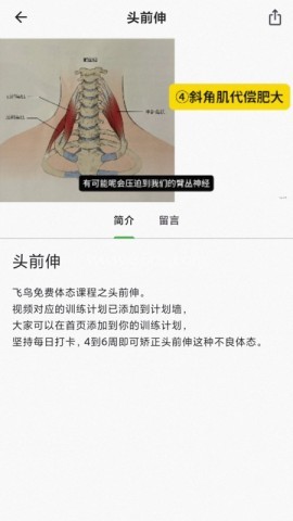 小鸡体态课