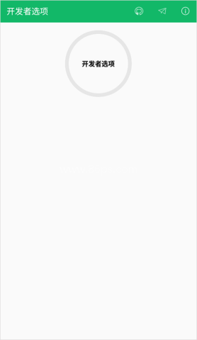 开发者选项