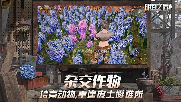 明日之后vivo版本