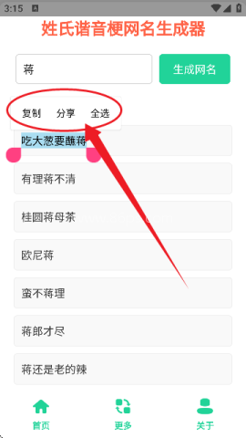 姓氏谐音梗网名生成器免费软件