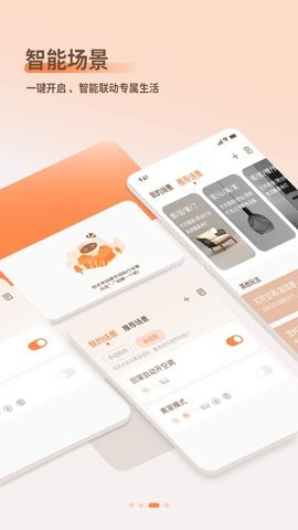 智小金 第2张图