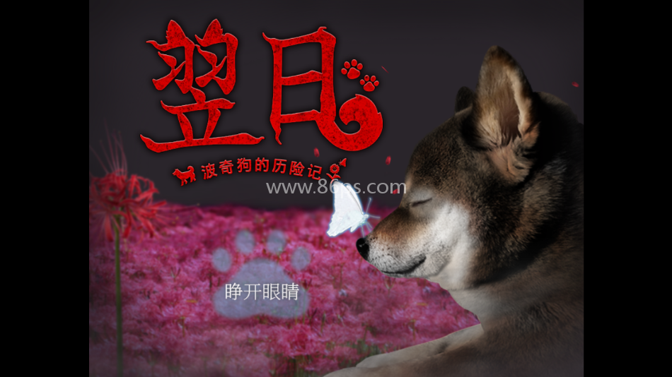 翌日波奇狗的历险记