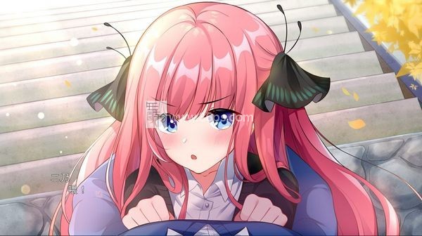 五等分的抢婚二乃篇